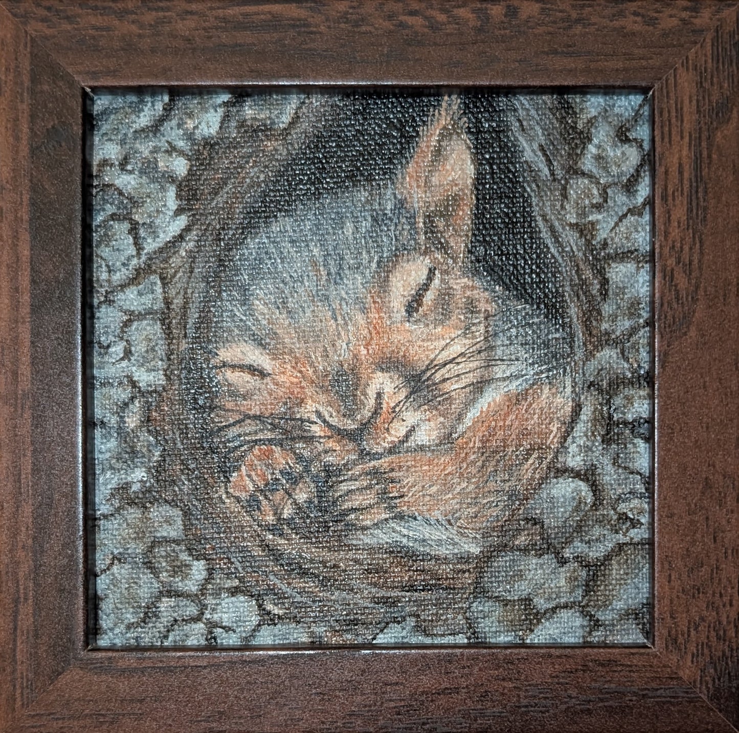 Nap time - Squirrel