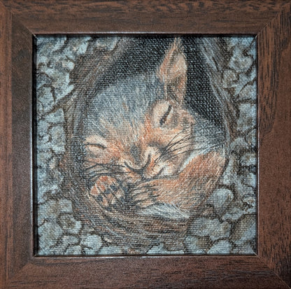 Nap time - Squirrel