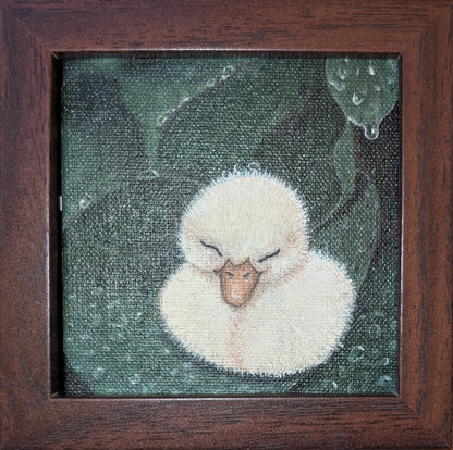 Nap time - Duckling