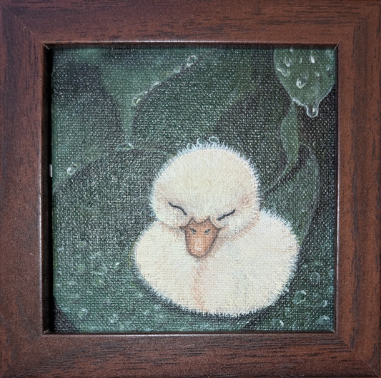 Nap time - Duckling