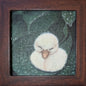 Nap time - Duckling